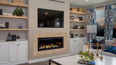 Heatilator: Rave 42 - primary view