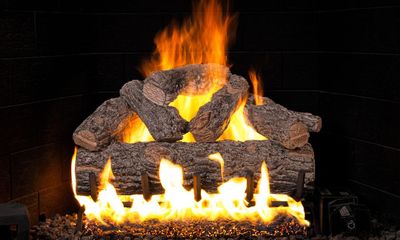RH Peterson: Golden Oak Designer Plus Flame Enhanced Logs - 20" - primary view