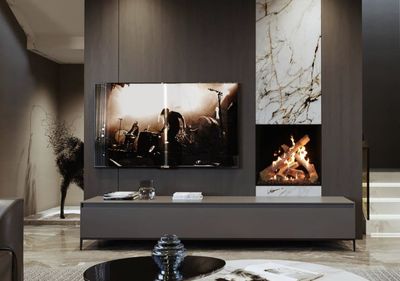 Ortal: Front Facing Fireplace 25H - Double Glass - primary view